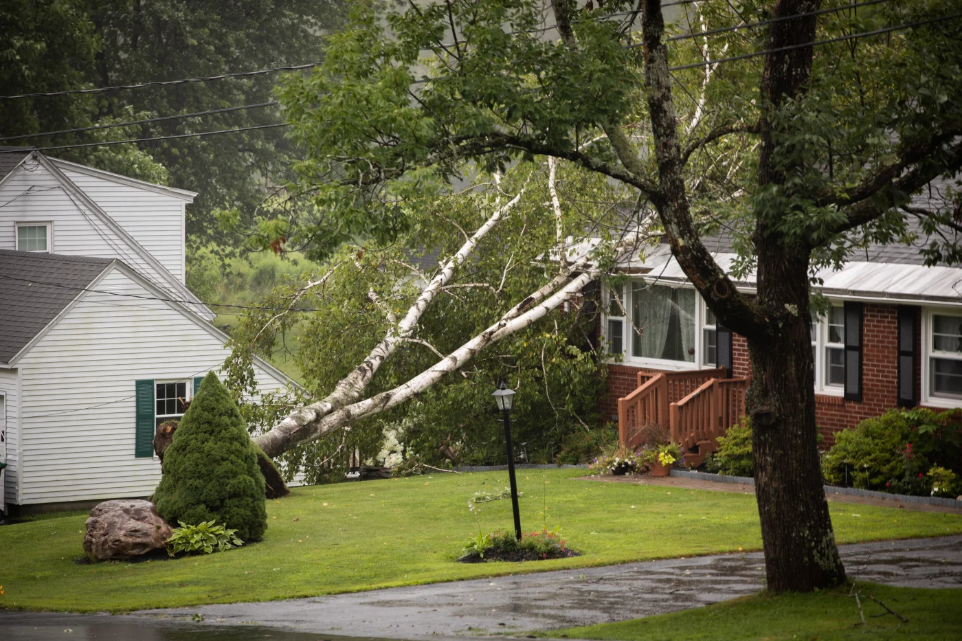A home with a large tree fallen on the roof.