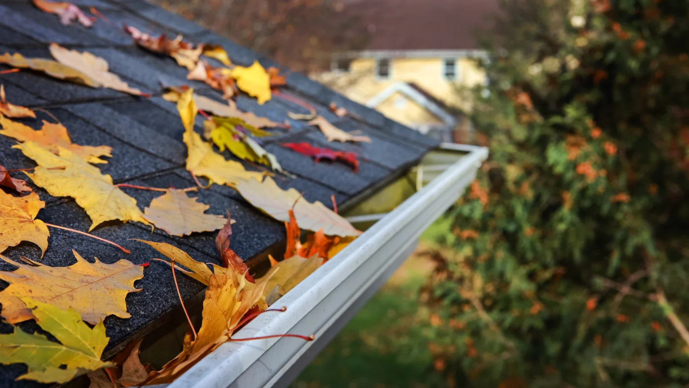 Fall leaves rest on the edge of an asphalt shingle roof with seamless gutters attached