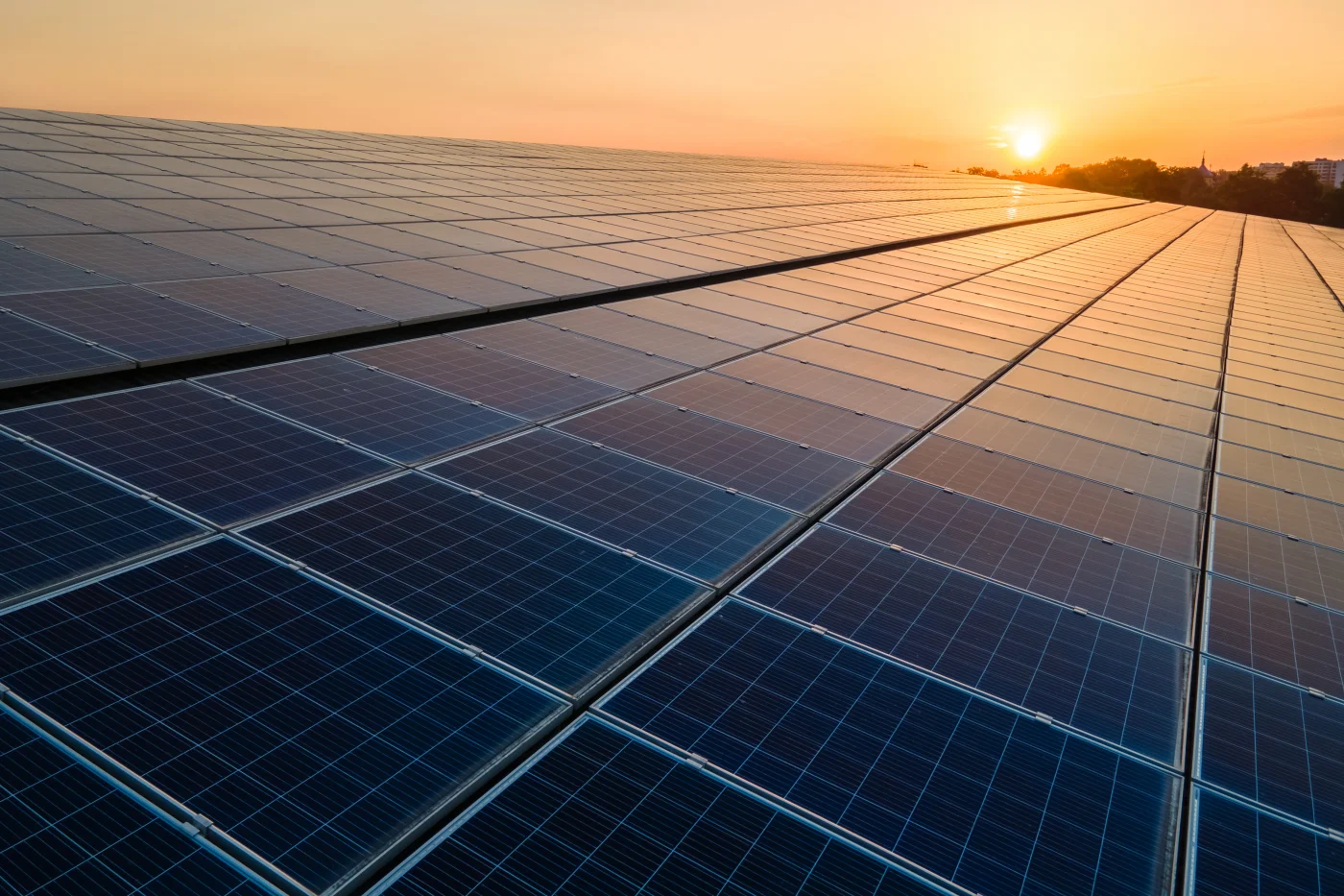 Close-up of solar panels in the setting sun.