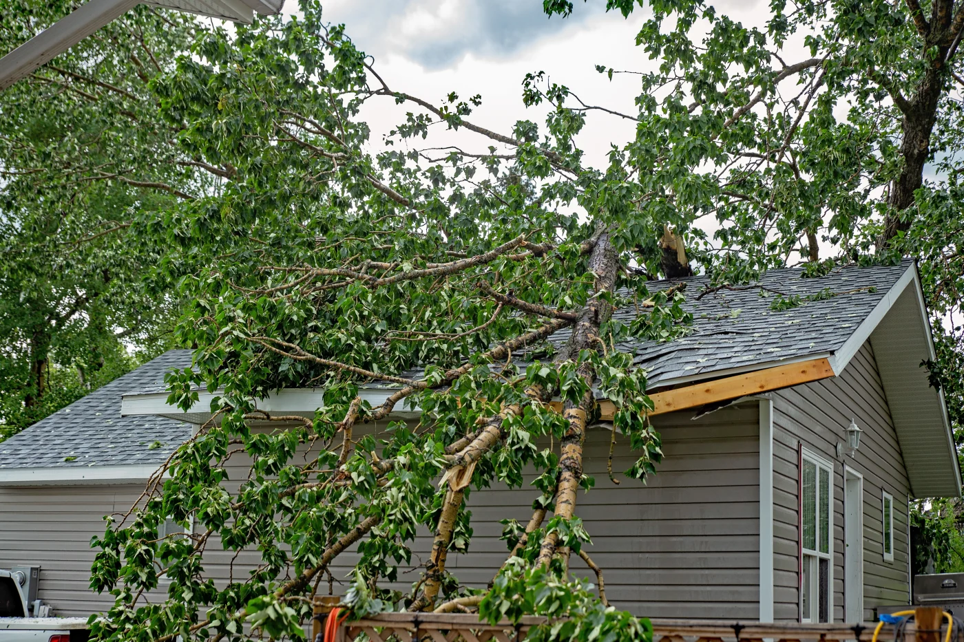 A broken tree limb has fallen on a home with gray siding and a shingle roof.