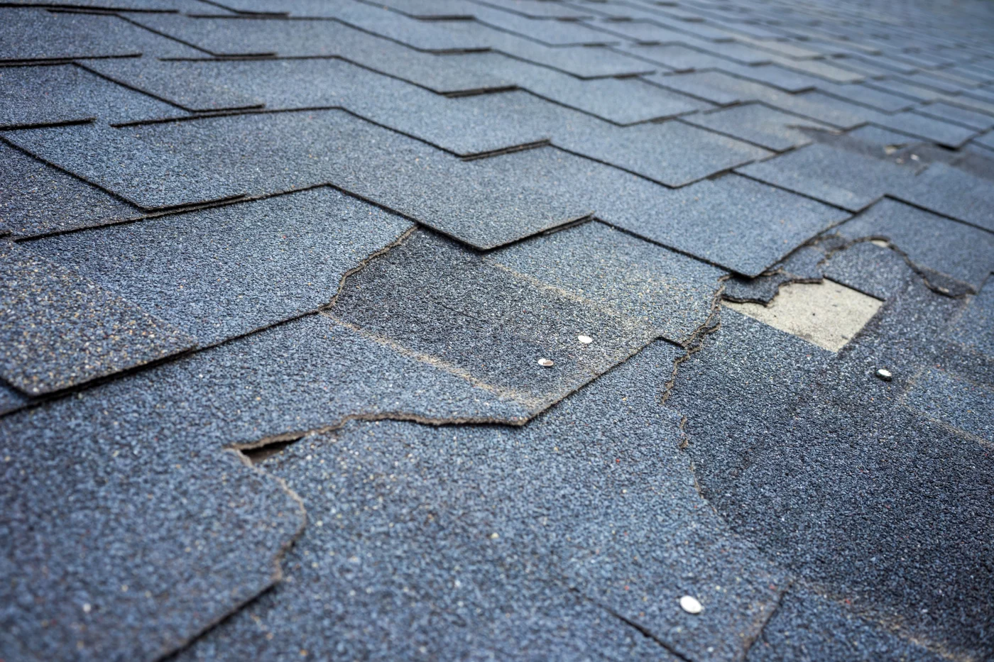 A storm damaged shingle roof.