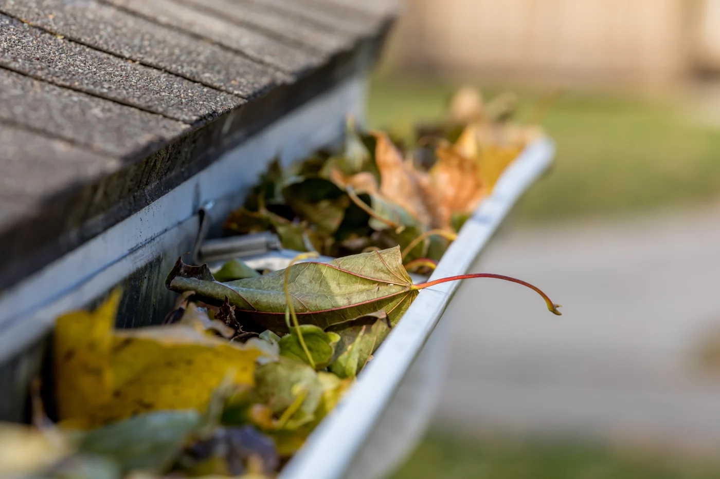 A gutter trough full of leaves.