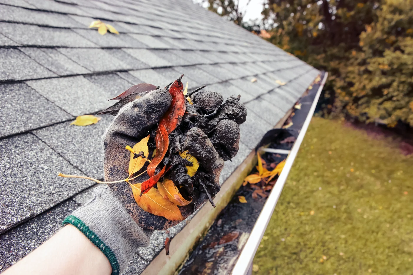 Cleaning Leaves And Debris Out Of Rain Gutters In Autumn