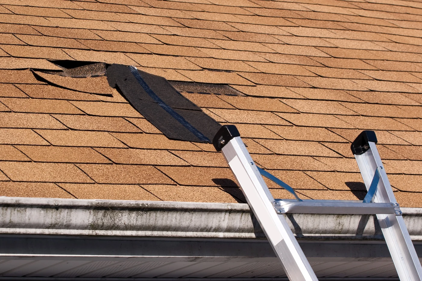 Damaged shingles on a residential home in Longmont, Colorado.