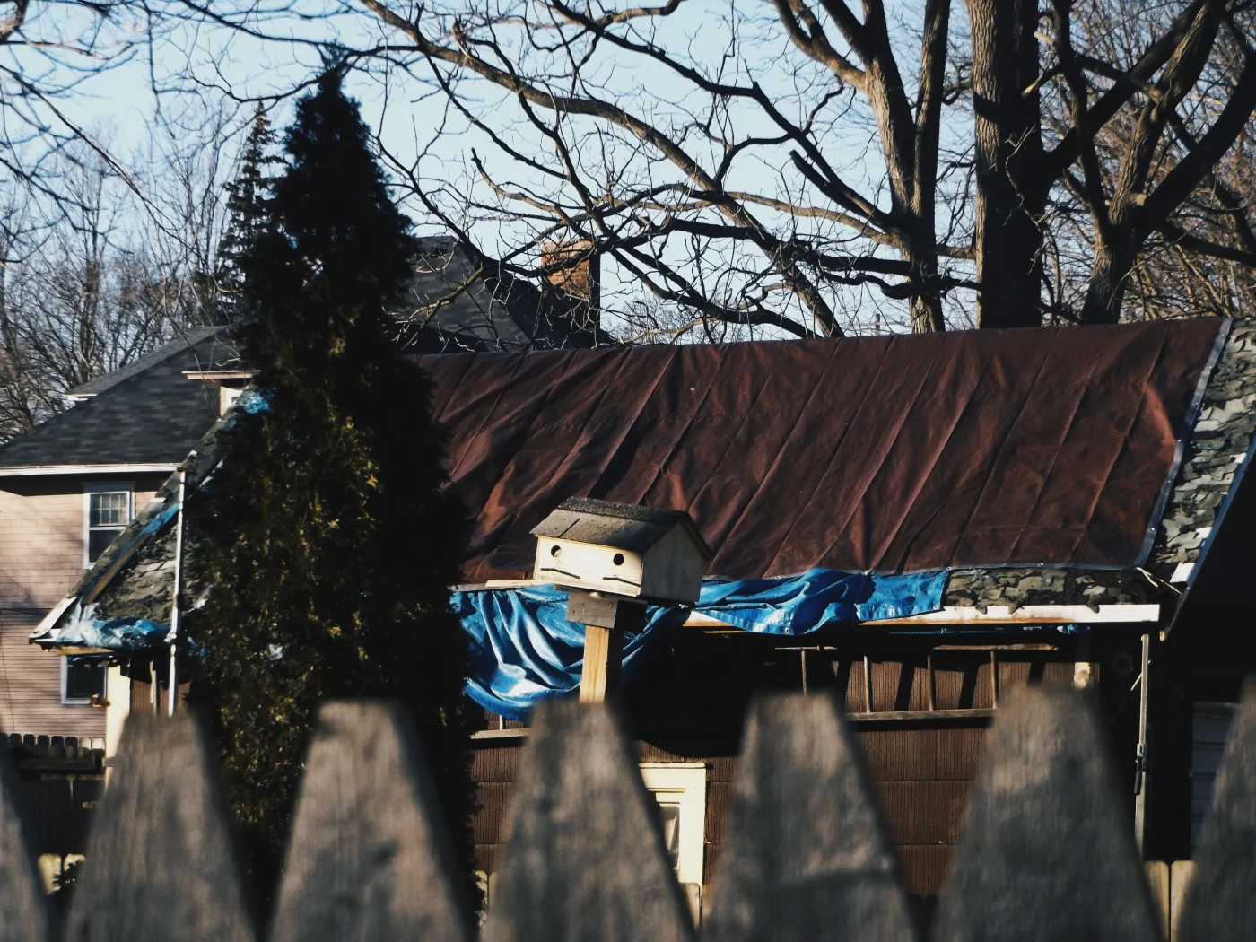 Dependable Storm Restoration | Longmont, CO | Columbine Roofing and Solar A storm-damaged roof covered with large brown and blue tarps, surrounded by bare winter trees, with a small birdhouse mounted on a post in the foreground.