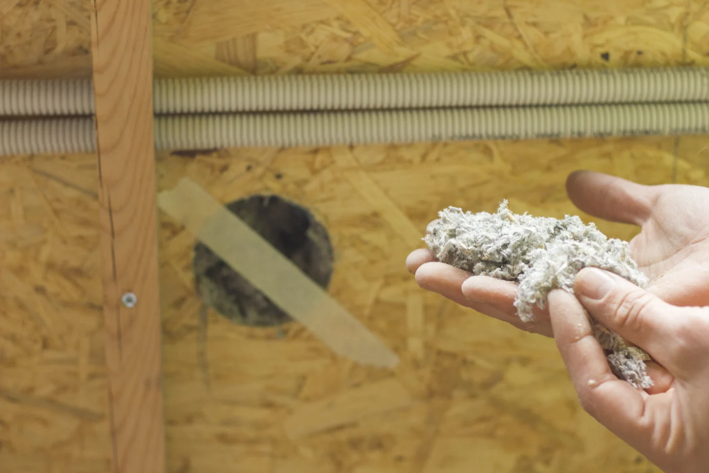 A close-up of a person holding loose blown-in insulation beside a drilled wall opening, showing the installation process.