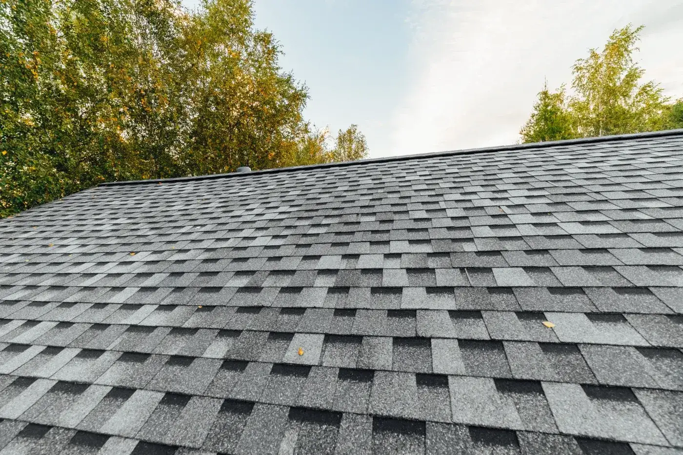 Gray asphalt shingle roof with clean rows and slight texture, framed by leafy trees under a pale sky.