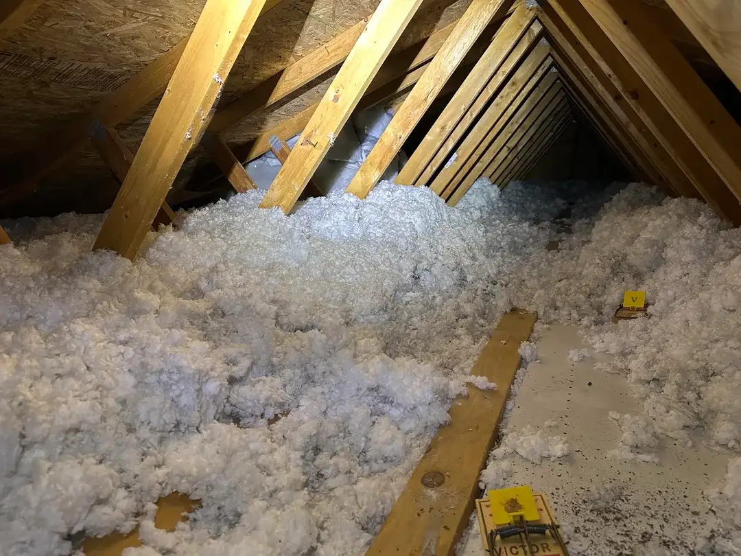Impressive Blown In Attic Insulation Denver Co Columbine Roofing And Solar