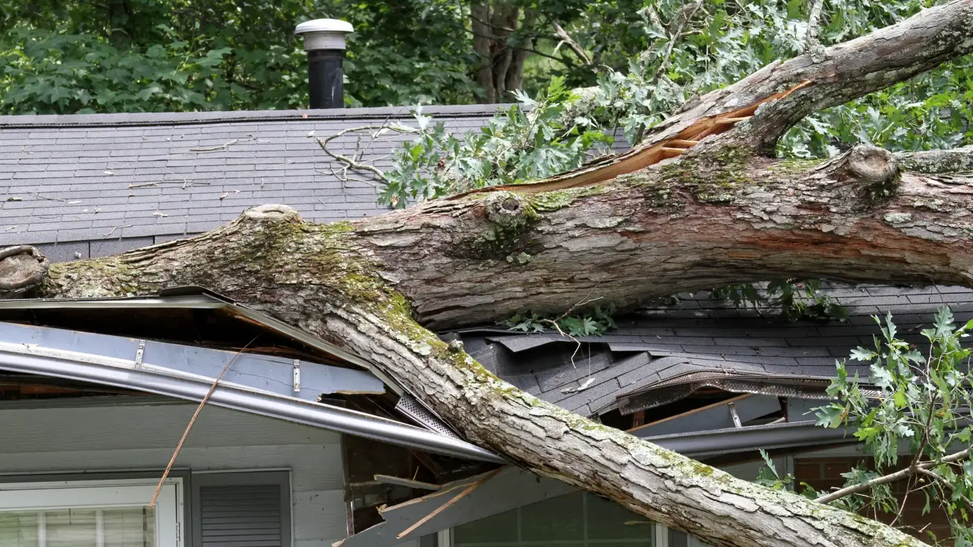 Magnificent Storm Damage Restoration Denver Co Columbine Roofing