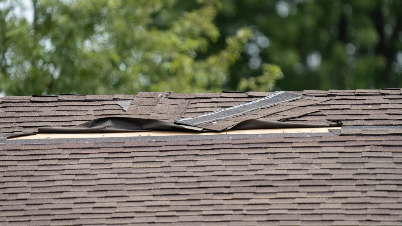 Storm-damaged roof with lifted shingles and exposed underlayment along the ridge, with green trees blurred in the background.