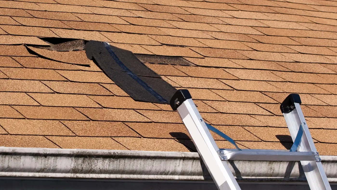 Ladder rests on a roof with brown asphalt shingles, visible lifted shingles, and guttering along the lower edge.